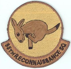 95th Reconnaissance Squadron
Keywords: desert