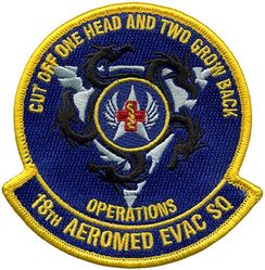 18th Aeromedical Evacuation Squadron Operations

