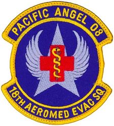 18th Aeromedical Evacuation Squadron Operation PACIFIC ANGEL 2008
