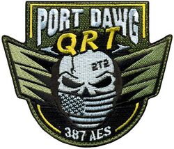 387th Air Expeditionary Squadron Aerial Port Operations Quick Reaction Team 

