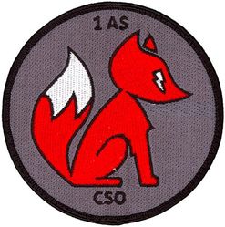 1st Airlift Squadron Combat Systems Operator
