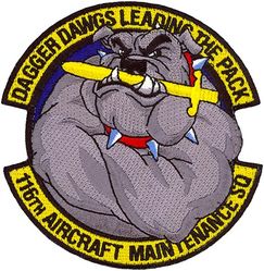 116th Aircraft Maintenance Squadron Morale
