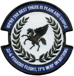 660th Aircraft Maintenance Squadron 22 G Pegasus Flight
