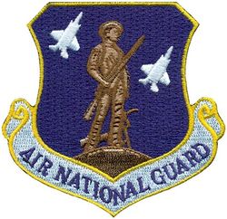 Air National Guard F-35
