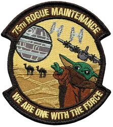 75th Expeditionary Airlift Squadron C-130J Maintenance
