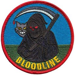 2d Air Support Operations Squadron Morale
