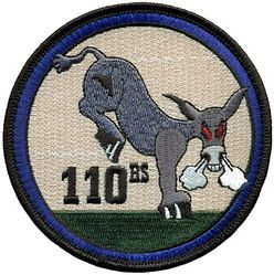 110th Bomb Squadron 
