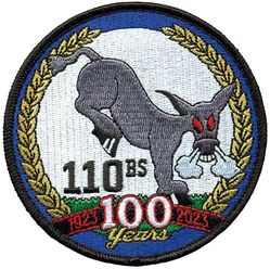 110th Bomb Squadron 100th Anniversary
Keywords: OCP