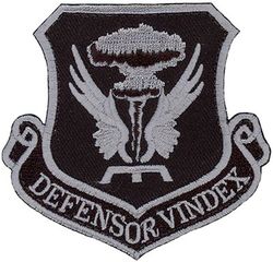 509th Bomb Wing
Translation: DEFENSOR VINDEX = Defender Avenger
