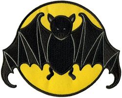 185th Cyberspace Operations Squadron Heritage
