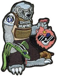 224th Cyber Operations Squadron Weapons Section
