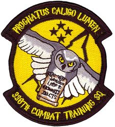 330th Combat Training Squadron
