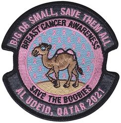 816th Expeditionary Airlift Squadron Breast Cancer Awarness 2021
