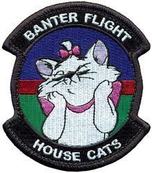 4th Expeditionary Air Support Operations Squadron B Flight
