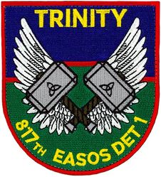 817th Expeditionary Air Support Operations Squadron Detachment 1

