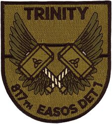 817th Expeditionary Air Support Operations Squadron Detachment 1 
Keywords: OCP