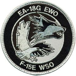 390th Electronic Combat Squadron EA-18G Electronic Warfare Officer and F-15E Weapons Systems Officer
