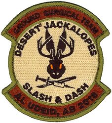 379th Expeditionary Medical Group Morale Ground Surgical Team 2018

