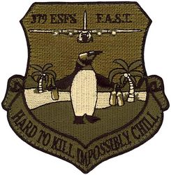 379th Expeditionary Security Forces Squadron Fly-Away Security Team
Keywords: OCP
