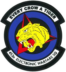 453d Electronic Warfare Squadron
Keywords: PVC