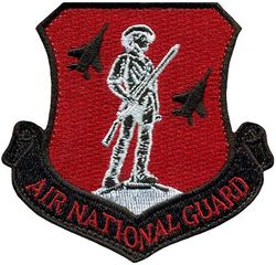 123d Fighter Squadron Air National Guard Morale
