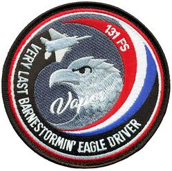 131st Fighter Squadron F-15 Pilot
