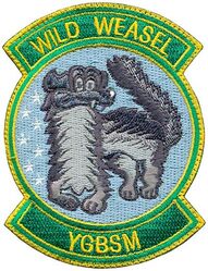134th Fighter Squadron Wild Weasel
