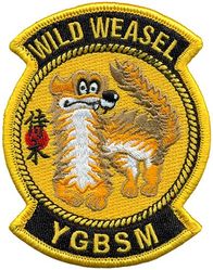 14th Fighter Squadron Wild Weasel
