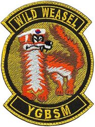 14th Fighter Squadron Wild Weasel

