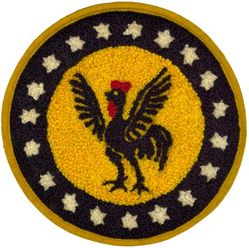 19th Pursuit Squadron, Interceptor, 19th Fighter Squadron & 19th Fighter Squadron, Single Engine
Organized as 14 Aero Squadron on 14 Jun 1917. Redesignated 19 Aero Squadron on 26 Jun 1917. Demobilized on 14 Apr 1919. Reconstituted, and consolidated (20 Dec 1923) with 19 Squadron, which was authorized on 30 Aug 1921. Organized on 1 Oct 1921. Inactivated on 29 Jun 1922. Redesignated 19 Pursuit Squadron on 25 Jan 1923. Activated on 1 May 1923. Redesignated: 19 Pursuit Squadron (Interceptor) on 6 Dec 1939; 19 Fighter Squadron on 15 May 1942; 19 Fighter Squadron, Single Engine, on 20 Aug 1943. Inactivated on 12 Jan 1946.

Insignia is USA made chenille. 

Stations. Wheeler Field, TH, 11 Jan 1927; Bellows Field, TH, 20 Feb 1942; Kualoa Field, TH, 22 May 1942; Bellows Field, TH, 20 Oct 1942; Barbers Point, TH, 9 Feb 1943; Kipapa Field, TH, 30 May 1943; Stanley Field, TH, 4 Sep 1943; Kualoa Field, TH, 26 Dec 1943; Bellows Field, TH, 18 Apr 1944; Saipan, 29 Jun 1944; Ie Shima, 30 Apr 1945; Okinawa, Nov-Dec 1945; Ft Lewis, WA, 11-12 Jan 1946.

