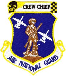 124th Aircraft Maintenance Squadron A-10 Crew Chief
