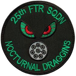 25th Fighter Squadron A-10
