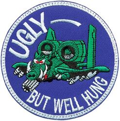 25th Fighter Squadron A-10 Morale
