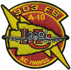 303d Fighter Squadron A-10 
