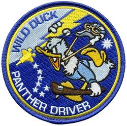 309th Fighter Squadron F-16 Pilot 
