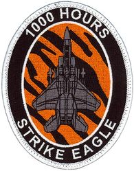 391st Fighter Squadron F-15E 1000 Hours
