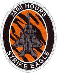 391st Fighter Squadron F-15E 2500 Hours
