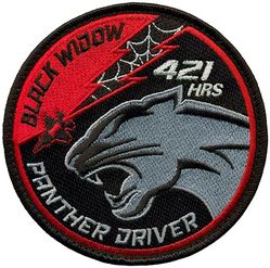 421st Fighter Squadron F-35 Pilot 421 Hours
