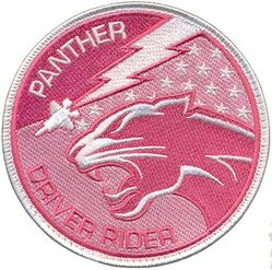 421st Fighter Squadron F-35 Pilot's Wife
