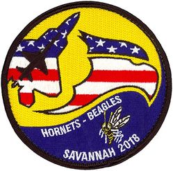2d Fighter Training Squadron and 43d Fighter Squadron Exercise SENTRY SAVANNAH 2018
