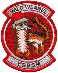 480th Fighter Squadron Wild Weasel
