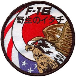 480th Expeditionary Fighter Squadron F-16 Pilot Kadena Deployment 2023 
