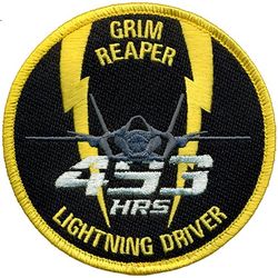 493d Fighter Squadron F-35 Pilot 493 Hours
