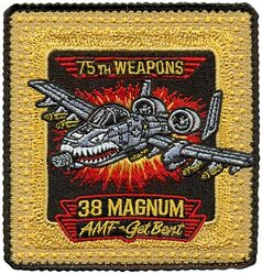 75th Fighter Squadron Weapons
