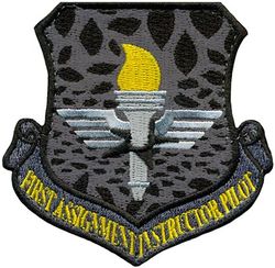 50th Flying Training Squadron Air Education & Training Command First Assignment Instructor Pilot Morale

