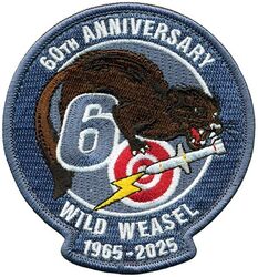 20th Fighter Wing Wild Weasel 60th Anniversary
