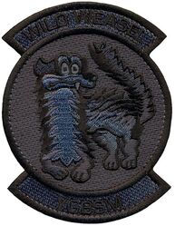 388th Fighter Wing Wild Weasel
