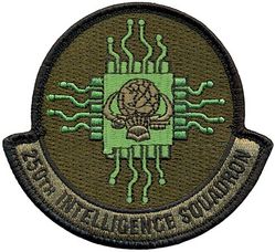 250th Intelligence Squadron
