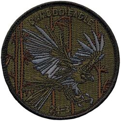 38th Intelligence Squadron Exercise BAMBOO EAGLE 2024-3
