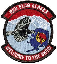 354th Operations Group Detachment 1
